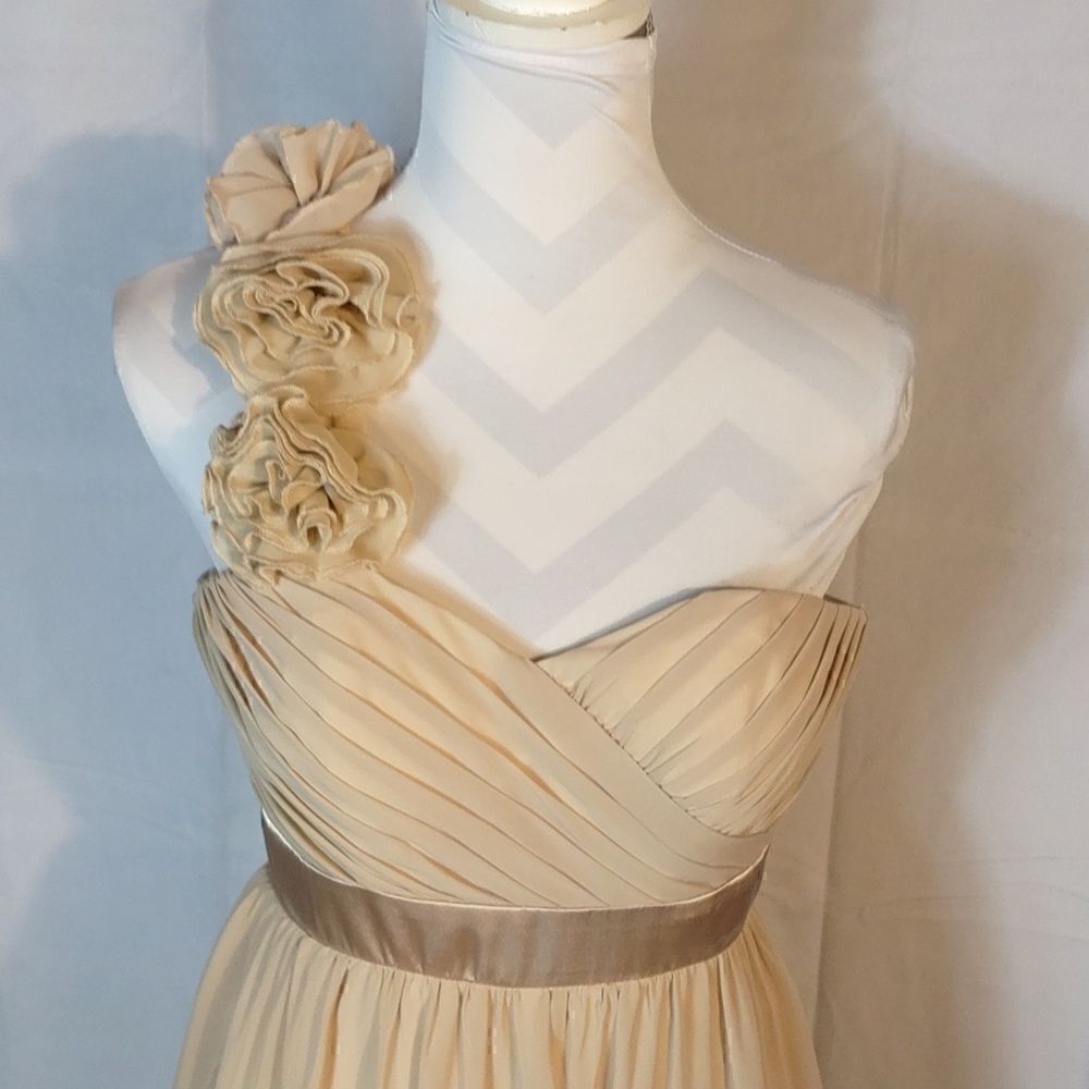 Bari Jay One Shoulder Chiffon Dress - Picture 2 of 7